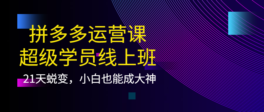 拼多多运营课：超级学员线上班，21天蜕变，小白也能成大神-三玖社区