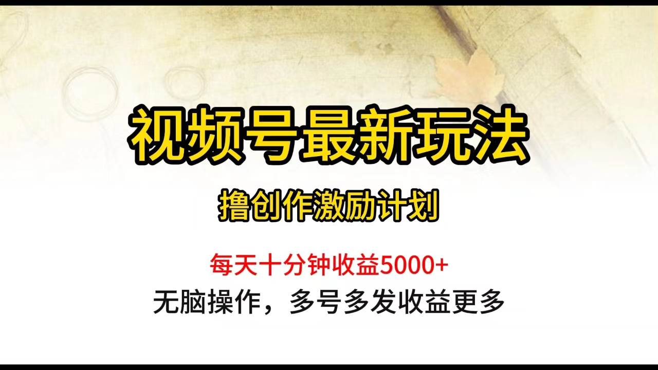 视频号最新玩法，每日一小时月入5000+-三玖社区
