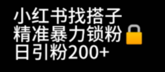 小红书找搭子暴力精准锁粉+引流日引200+精准粉-三玖社区