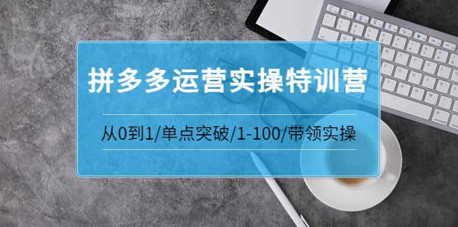 拼多多运营实操特训营：从0到1/单点突破/1-100/带领实操 价值2980元-三玖社区