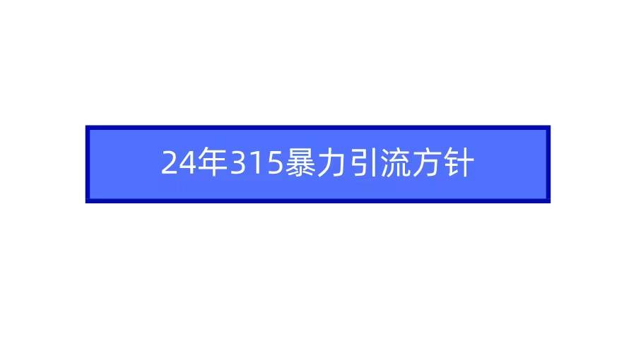 2024年315暴力引流方针-三玖社区