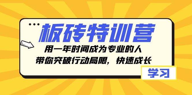 板砖特训营，用一年时间成为专业的人，带你突破行动局限，快速成长-三玖社区