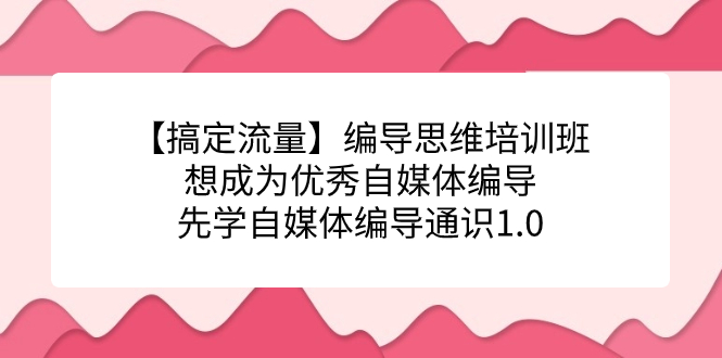 【搞定流量】编导思维培训班，想成为优秀自媒体编导先学自媒体编导通识1.0-三玖社区