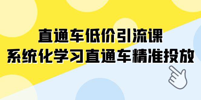 直通车-低价引流课，系统化学习直通车精准投放（14节课）-三玖社区