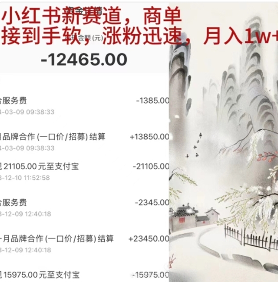 小红书新赛道，商单接到手软，涨粉迅速，一个月1w+-三玖社区