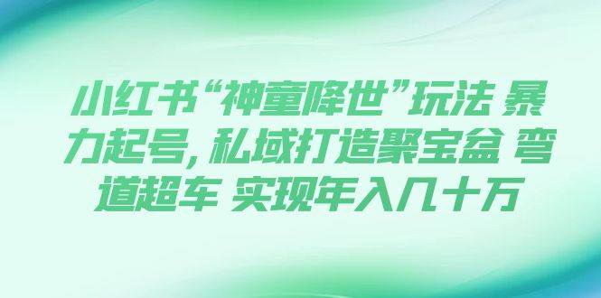 小红书“神童降世”玩法 暴力起号,私域打造聚宝盆 弯道超车 实现年入几十万-三玖社区