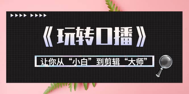 月营业额700万+大佬教您《玩转口播》让你从“小白”到剪辑“大师”-三玖社区