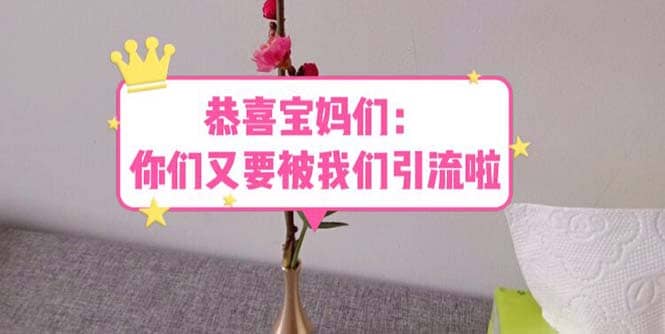 恭喜宝妈们：你们又要被我们引流了（教程+222g资料）-三玖社区