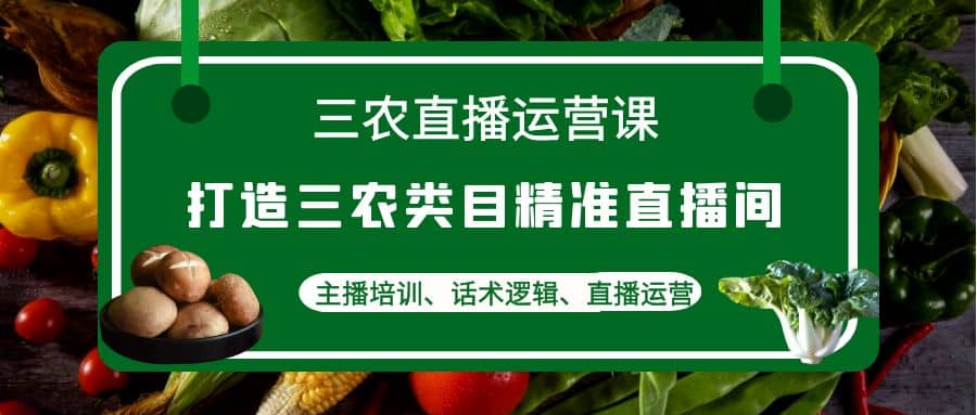 三农直播运营课：打造三农类目精准直播间，主播培训、话术逻辑、直播运营-三玖社区