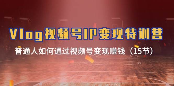 Vlog 视频号IP变现特训营，普通人如何通过视频号变现赚钱（15节）-三玖社区