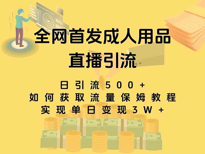 最新全网独创首发，成人用品直播引流获客暴力玩法，单日变现3w保姆级教程-三玖社区