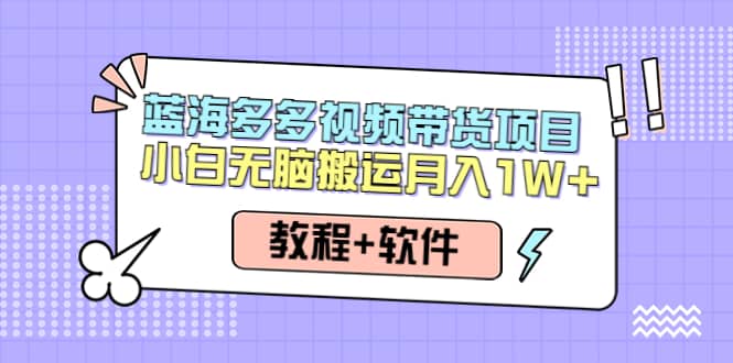 人人都能操作的蓝海多多视频带货项目 小白无脑搬运（教程+软件）-三玖社区