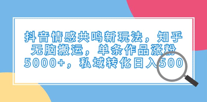 抖音情感共鸣新玩法，知乎无脑搬运，单条作品涨粉5000+，私域转化日入500-三玖社区