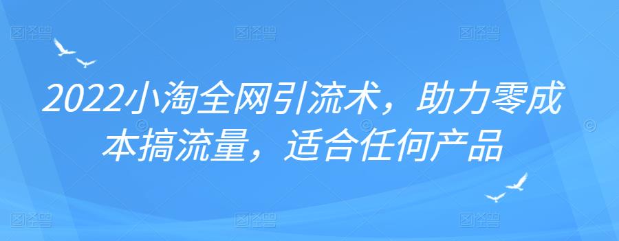 2022年小淘全网引流术，助力零成本搞流量，适合任何产品-三玖社区