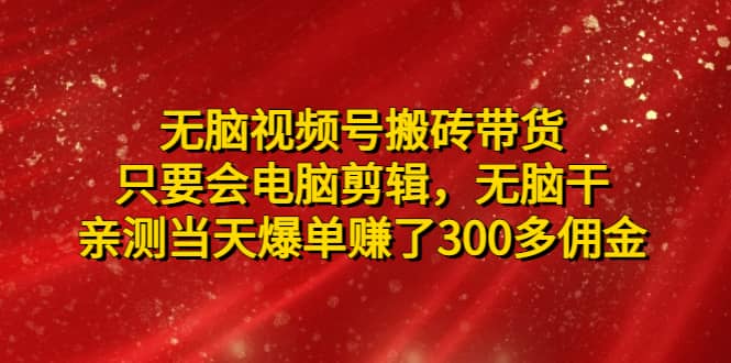 无脑视频号搬砖带货，只要会电脑剪辑，无脑干-三玖社区