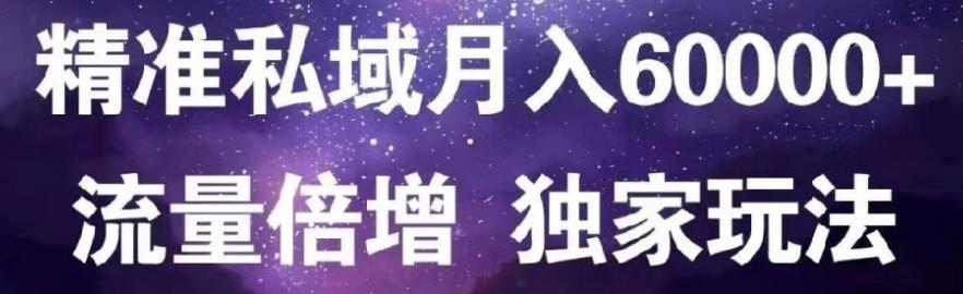 原力网赚精准私域月入60000+,流量倍增独家玩法-三玖社区