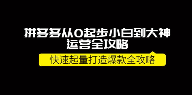 拼多多从0起步小白到大神运营全攻略-三玖社区