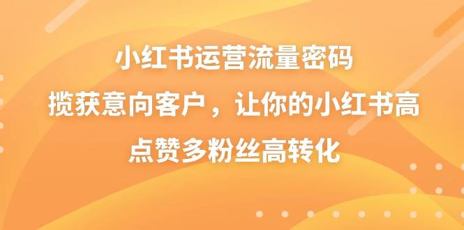 小红书运营流量密码，揽获意向客户，让你的小红书高点赞多粉丝高转化-三玖社区