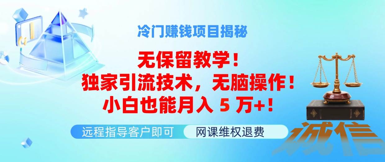 冷门赚钱项目无保留教学！独家引流技术，无脑操作！小白也能月入5万+！-三玖社区