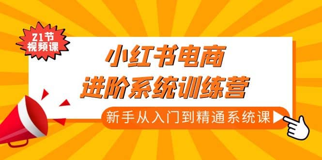 小红书电商进阶系统训练营：新手从入门到精通系统课（21节视频课）-三玖社区
