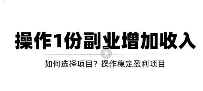 新手如何通过操作副业增加收入，从项目选择到玩法分享！【视频教程】-三玖社区