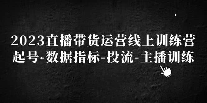 2023直播带货运营线上训练营，起号-数据指标-投流-主播训练-三玖社区