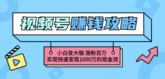 玩转微信视频号赚钱：小白变大咖涨粉百万实现快速变现1000万的现金流-三玖社区