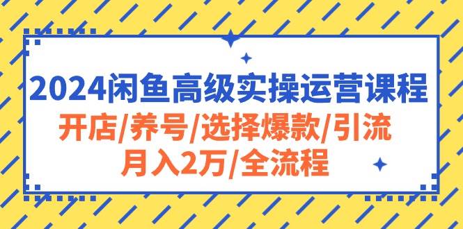 2024闲鱼高级实操运营课程：开店/养号/选择爆款/引流/月入2万/全流程-三玖社区