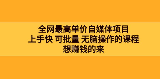 全网最单高价自媒体项目：上手快 可批量 无脑操作的课程，想赚钱的来-三玖社区