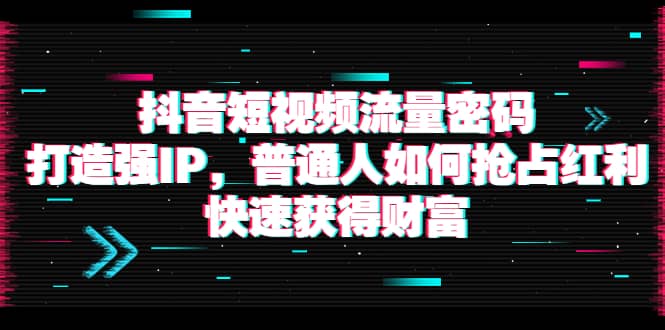抖音短视频流量密码：打造强IP，普通人如何抢占红利，快速获得财富-三玖社区