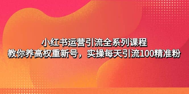 小红书运营引流全系列课程：教你养高权重新号-三玖社区