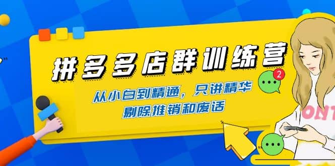 拼多多店群训练营：从小白到精通，只讲精华，剔除推销和废话-三玖社区