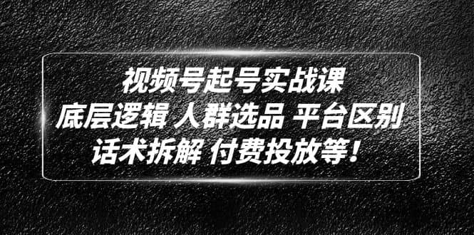 视频号起号实战课：底层逻辑 人群选品 平台区别 话术拆解 付费投放等-三玖社区