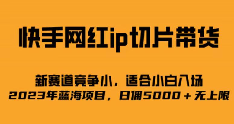 快手网红ip切片新赛道，竞争小事，适合小白 2023蓝海项目-三玖社区