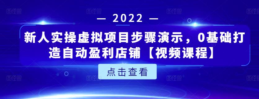 新人实操虚拟项目步骤演示，0基础打造自动盈利店铺【视频课程】-三玖社区