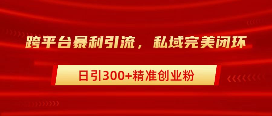 跨平台暴力引流，私域完美闭环，日引300+精准创业粉-三玖社区
