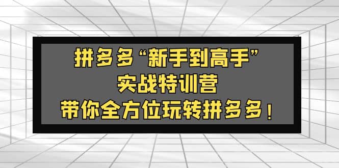 拼多多“新手到高手”实战特训营：带你全方位玩转拼多多-三玖社区