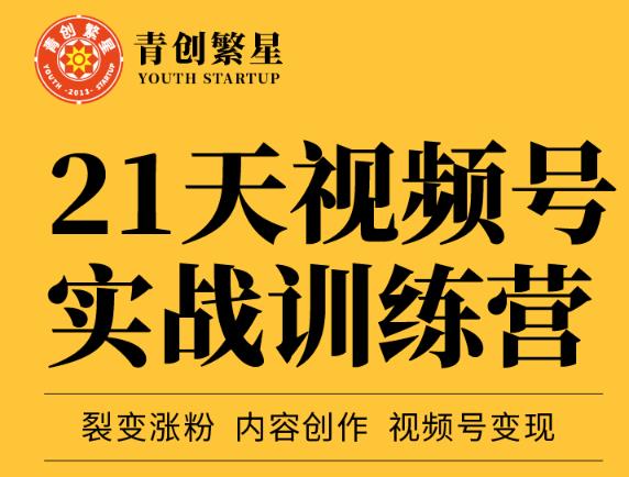 张萌21天视频号实战训练营，裂变涨粉、内容创作、视频号变现 价值298元-三玖社区