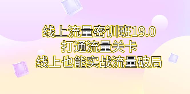 线上流量密训班19.0，打通流量关卡，线上也能实战流量破局-三玖社区