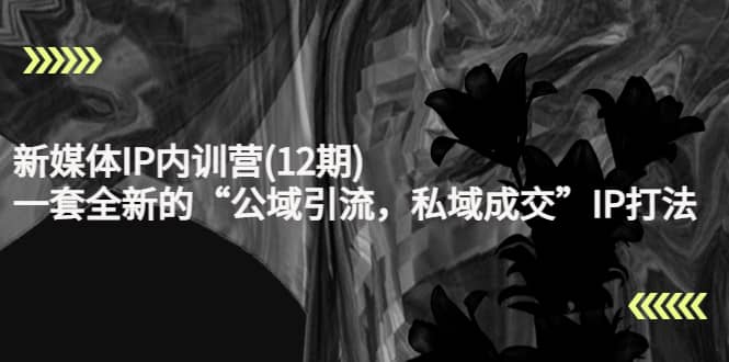 新媒体IP内训营(12期)，一套全新的“公域引流，私域成交”IP打法，直接带走-三玖社区