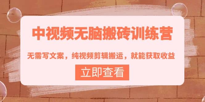 中视频无脑搬砖训练营：无需写文案，纯视频剪辑搬运，就能获取收益-三玖社区