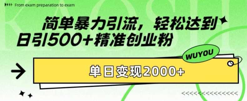 简单暴力引流轻松达到日引500+精准创业粉，单日变现2k【揭秘】-三玖社区