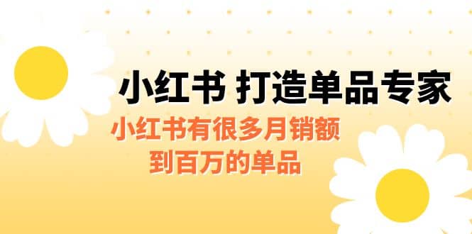 某公众号付费文章《小红书 打造单品专家》小红书有很多月销额到百万的单品-三玖社区