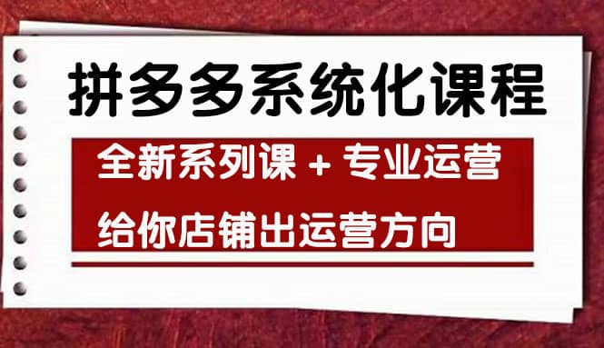 车神陪跑，拼多多系统化课程，全新系列课+专业运营给你店铺出运营方向-三玖社区