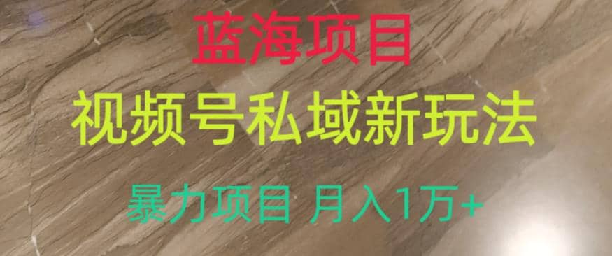 蓝海项目，视频号私域新玩法，暴力项目月入1万+【揭秘】-三玖社区