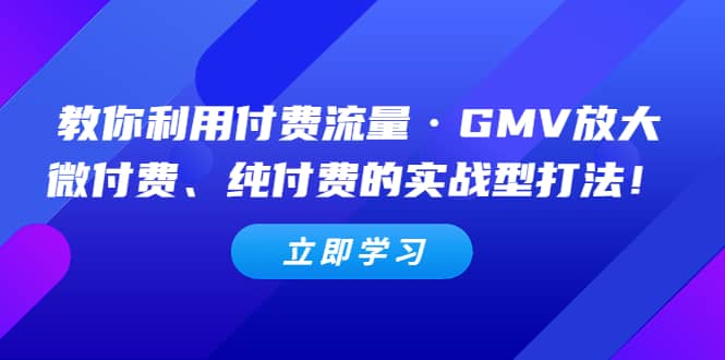 教你利用付费流量·GMV放大，微付费、纯付费的实战型打法-三玖社区