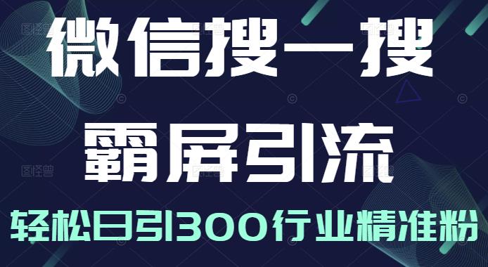 微信搜一搜霸屏引流课，打造被动精准引流系统，轻松日引300行业精准粉【无水印】-三玖社区