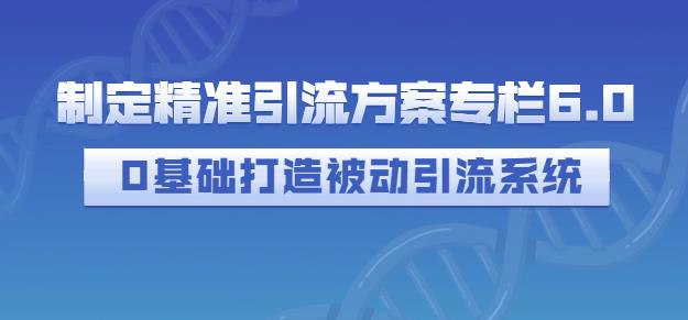 制定精准引流方案专栏6.0，0基础打造被动引流系统-三玖社区