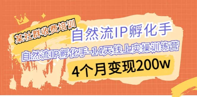 某社群收费培训：自然流IP 孵化手-14天线上实操训练营 4个月变现200w-三玖社区