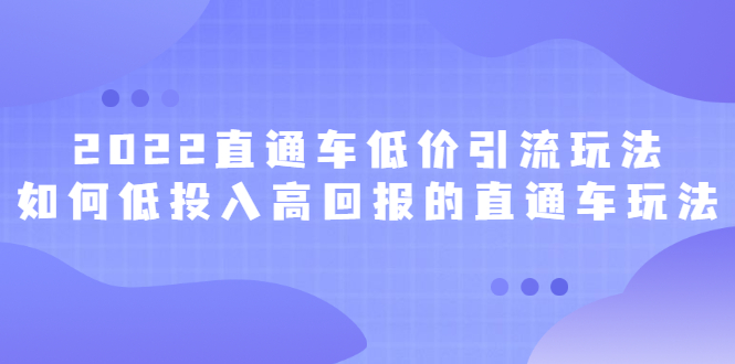 2022直通车低价引流玩法，教大家如何低投入高回报的直通车玩法-三玖社区